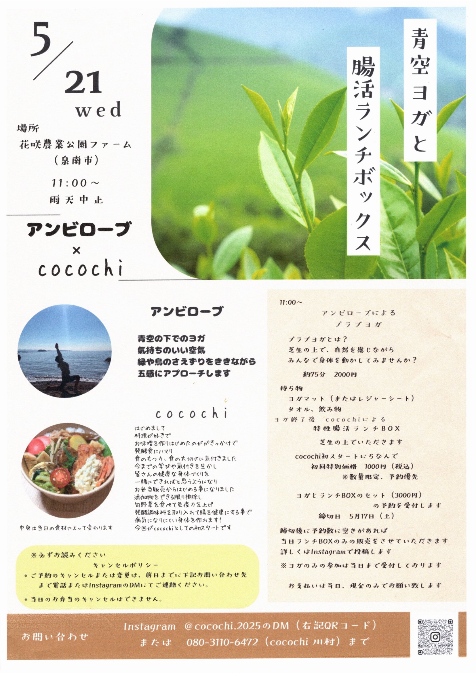 青空ヨガと腸活ランチボックス